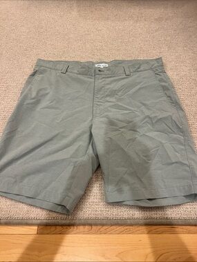 Peter Millar Light Olive Flat Front Shorts
Size: 38